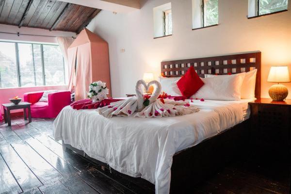 Hibiscus House Gambia Hotel Brufut Екстериор снимка